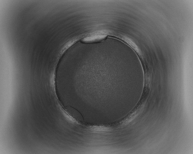 X0000115670389200911191030