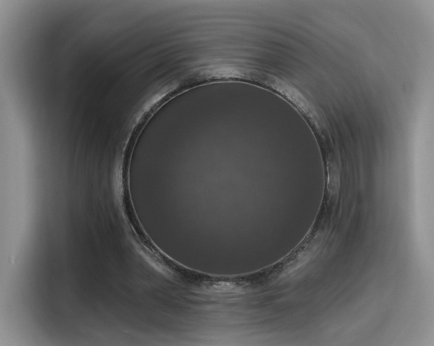 X0000115670390200911191030