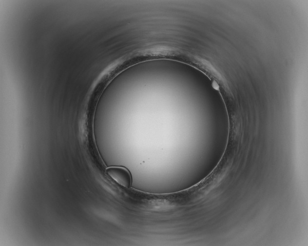 X0000115670392200911191029