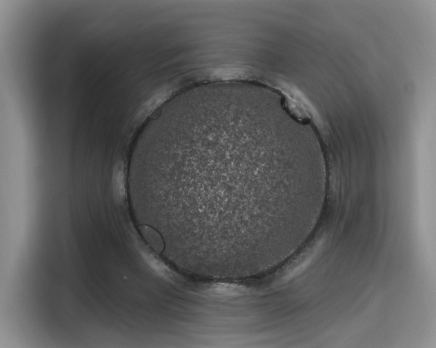 X0000115670393200911191029