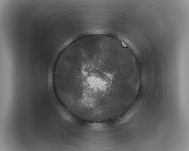 X0000115670394200911191029