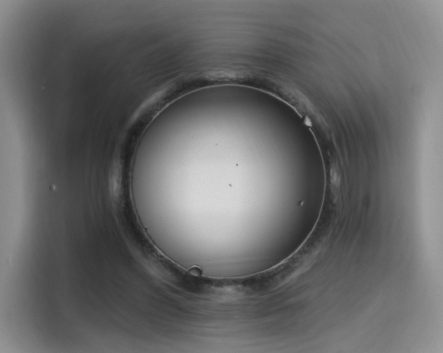 X0000115670396200911191029