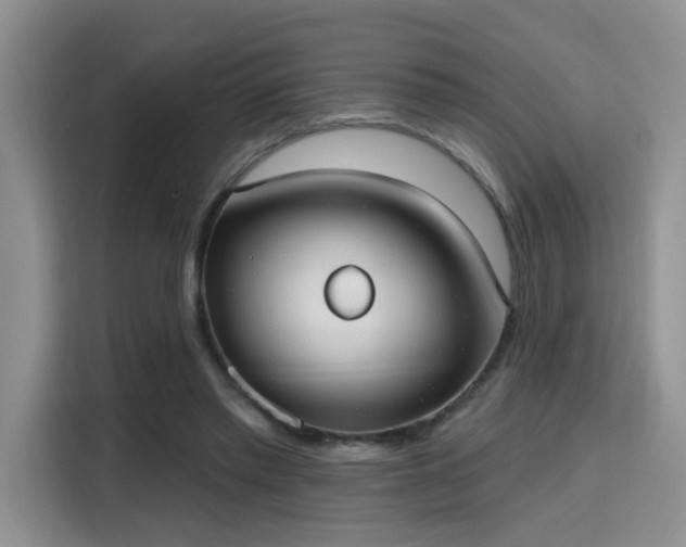 X0000115670397200911191029