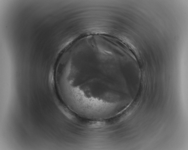 X0000115670398200911191029