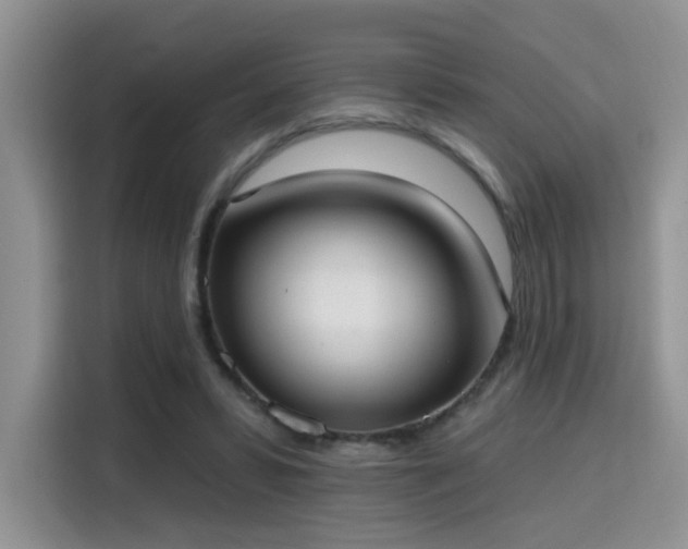 X0000115670399200911191029