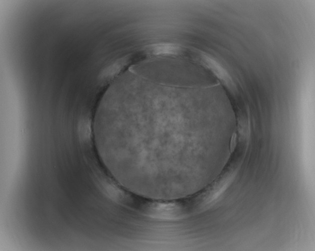 X0000115670401200911191029