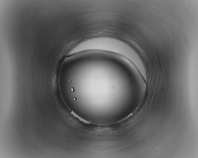 X0000115670403200911191029