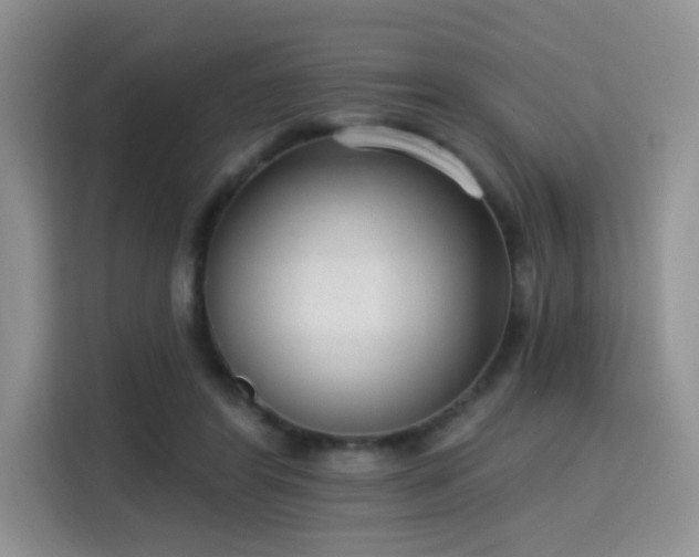 X0000115670404200911191029