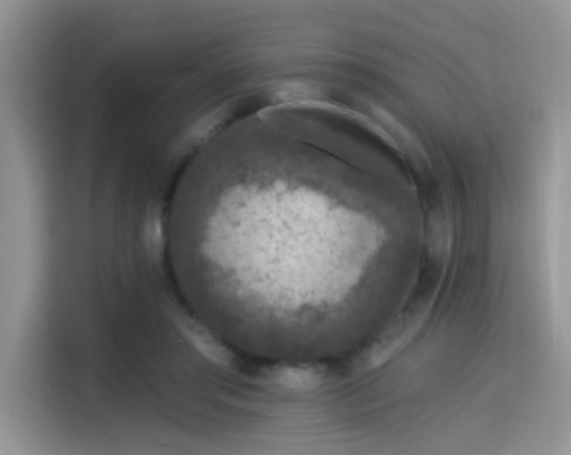 X0000115670405200911191029