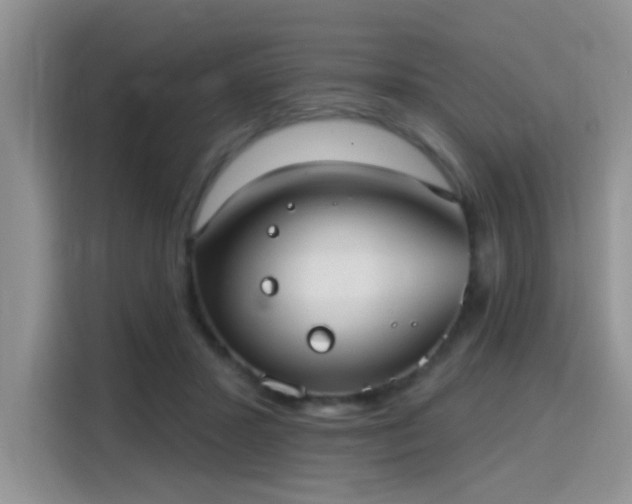 X0000115670407200911191029