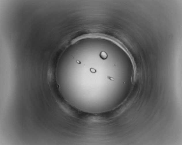 X0000115670408200911191029