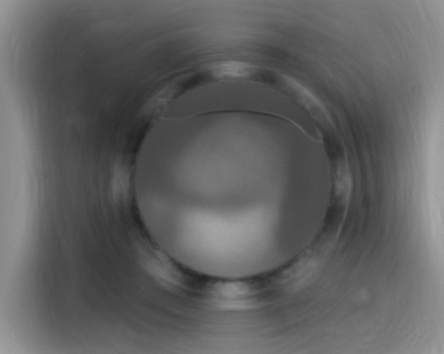 X0000115670409200911191029