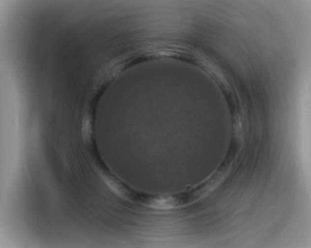X0000115670410200911191029
