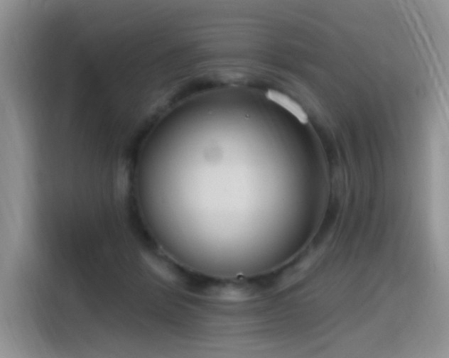 X0000115670412200911191029