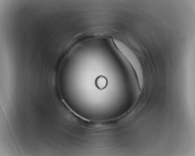 X0000115670413200911191029