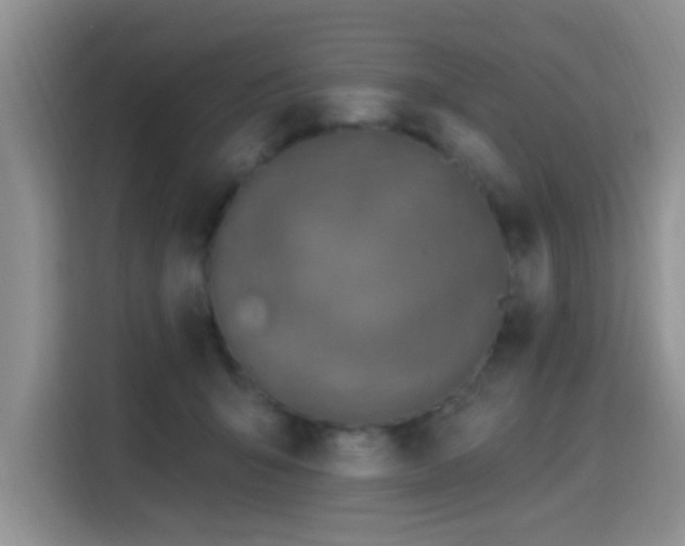 X0000115670415200911191029