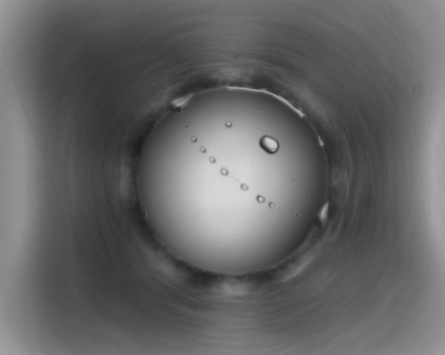 X0000115670416200911191029