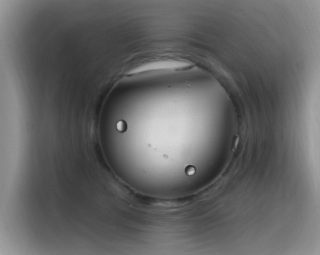 X0000115670417200911191029