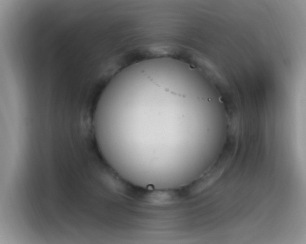 X0000115670418200911191029
