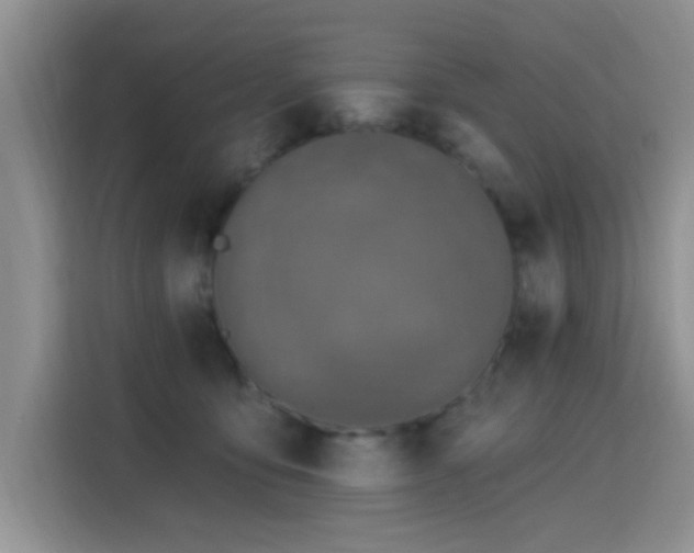 X0000115670419200911191029