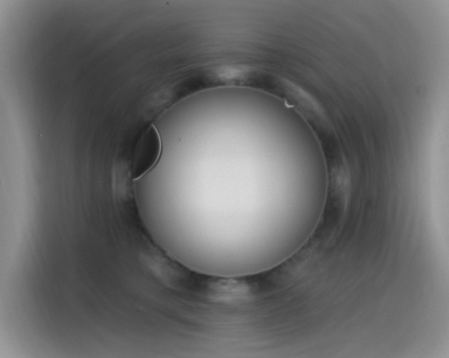 X0000115670421200911191029