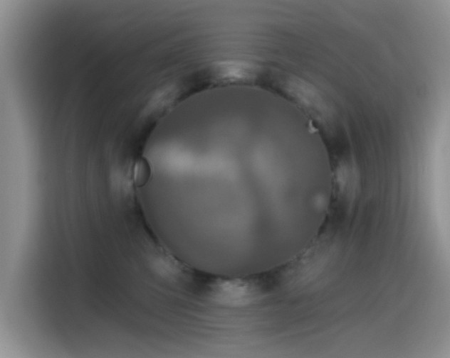 X0000115670423200911191029