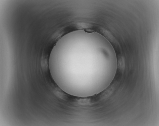 X0000115670426200911191029