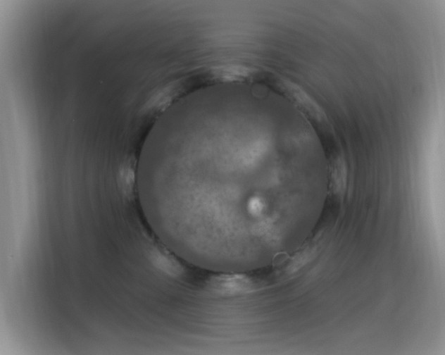 X0000115670427200911191029