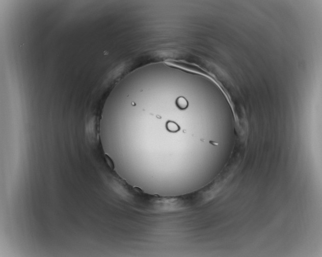 X0000115670428200911191029