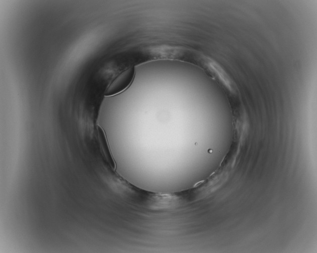 X0000115670429200911191029
