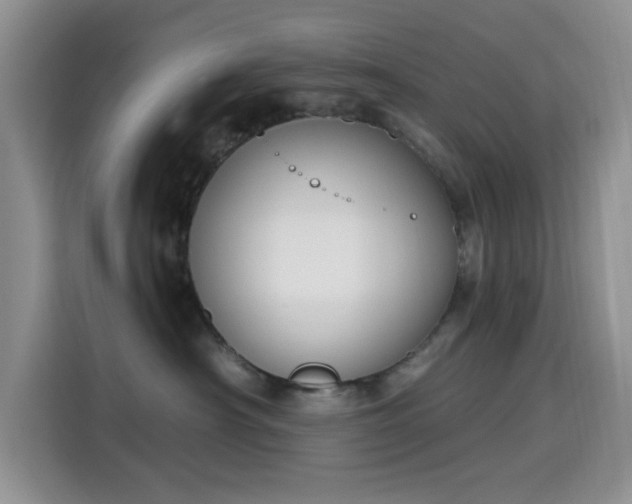 X0000115670430200911191029