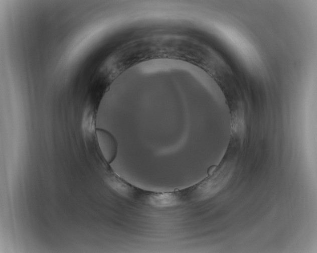 X0000115670431200911191029