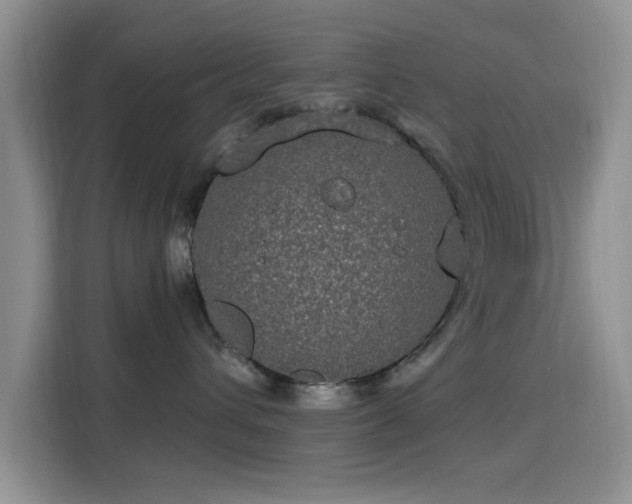 X0000115670432200911191029