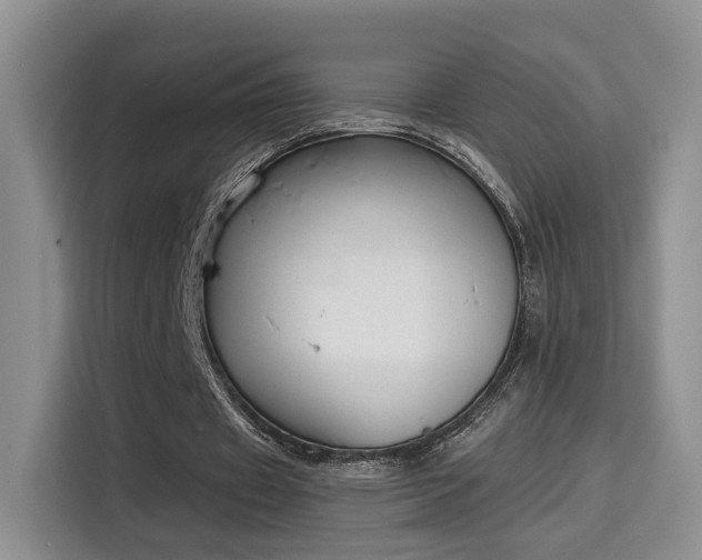 X0000115670433200911191028