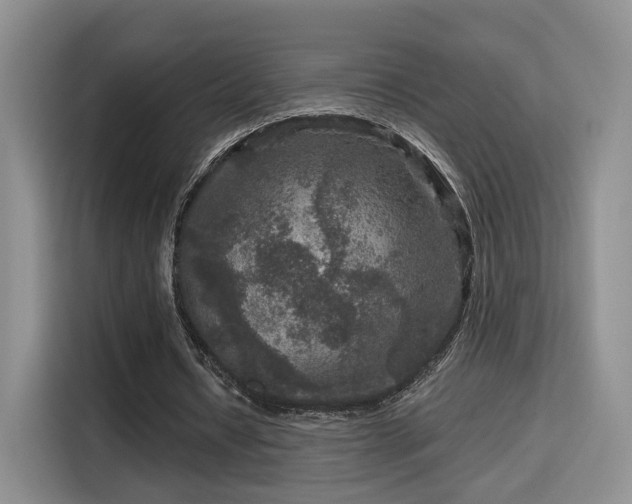 X0000115670434200911191028