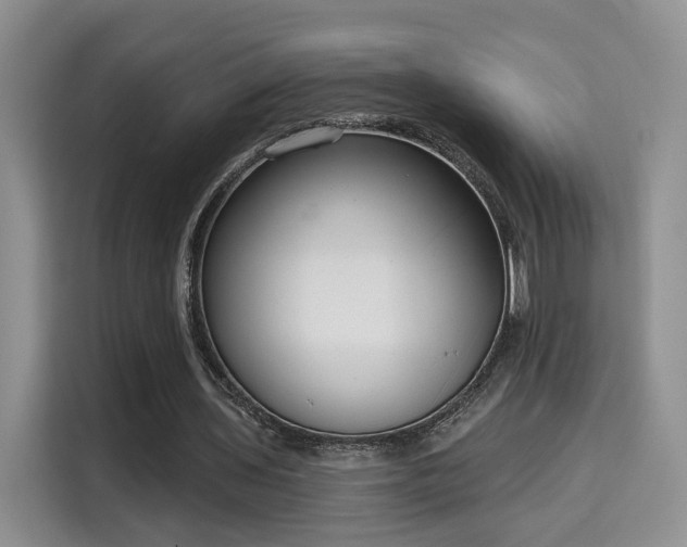 X0000115670435200911191028