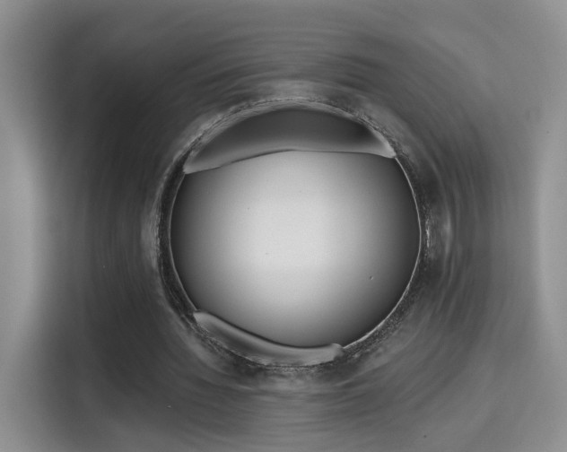 X0000115670436200911191028