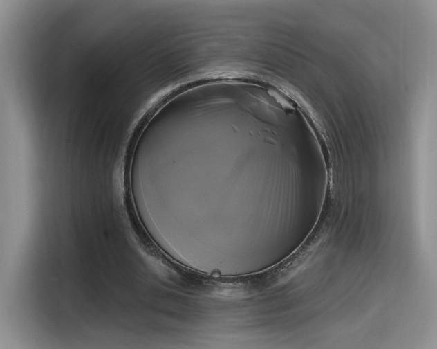 X0000115670438200911191028