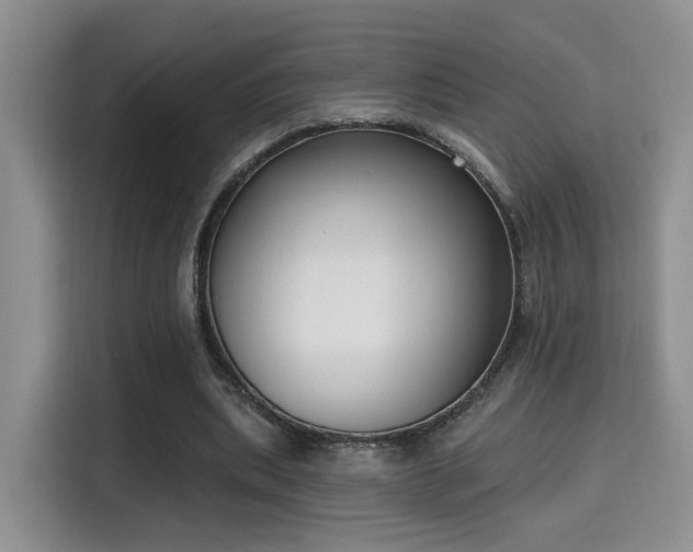 X0000115670439200911191028