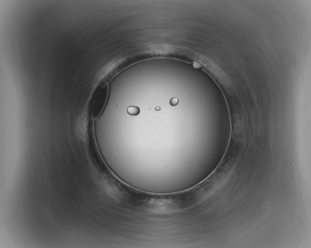 X0000115670440200911191028