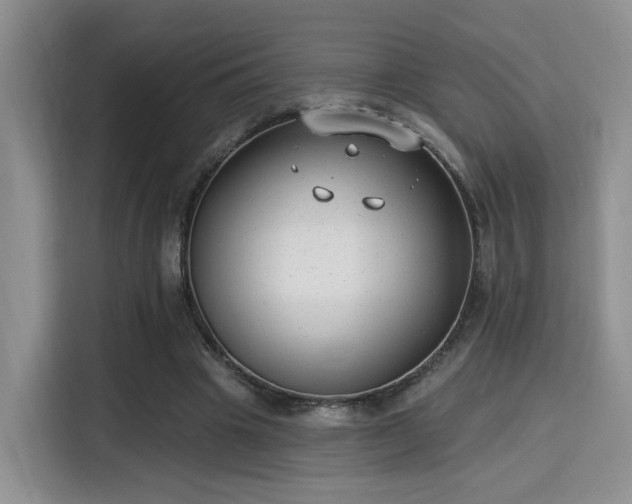 X0000115670441200911191028
