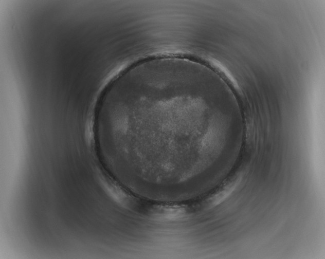 X0000115670443200911191028