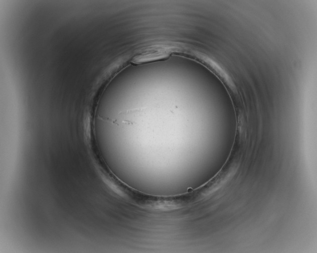 X0000115670445200911191028