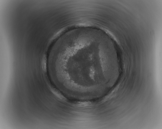 X0000115670446200911191029