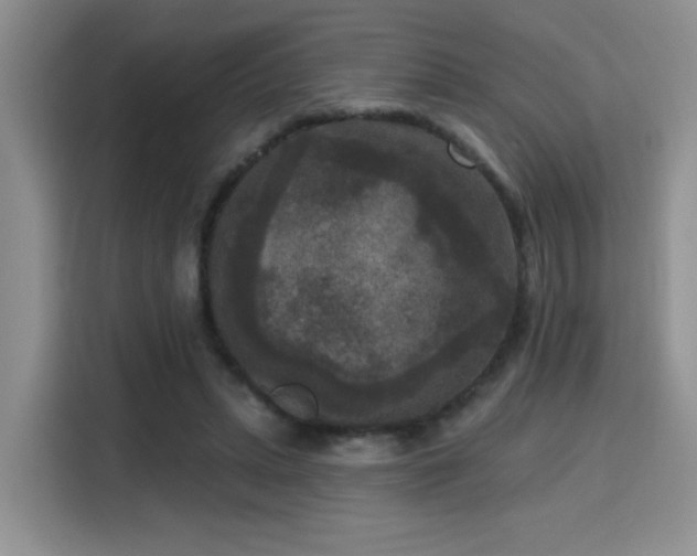 X0000115670447200911191029