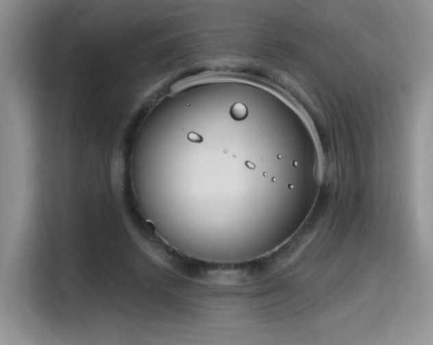 X0000115670448200911191029
