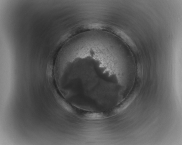 X0000115670449200911191029