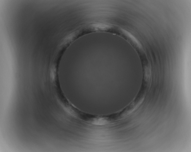 X0000115670451200911191029