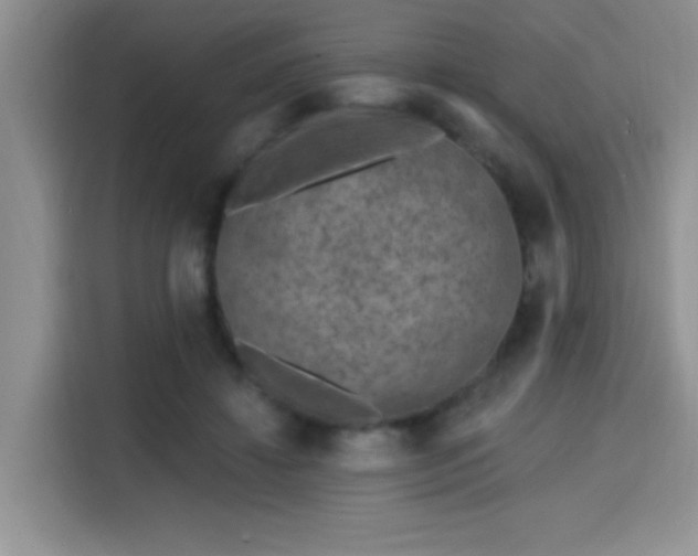 X0000115670452200911191029