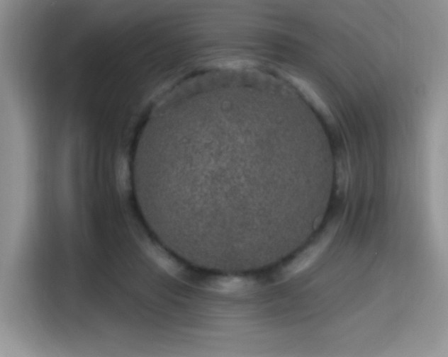 X0000115670453200911191029
